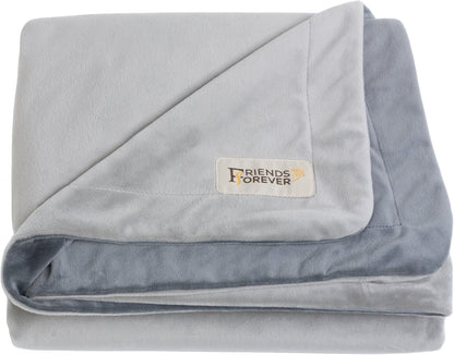 Friends Forever Dog Bed Blanket, Pets Blankets for Couch Sofa Protection