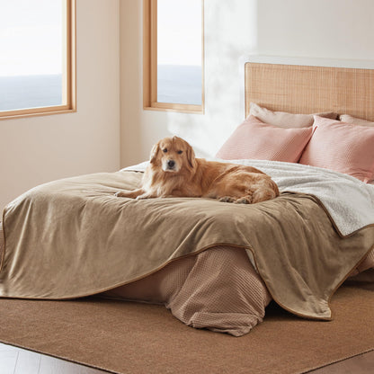 Bedsure Waterproof Dog Blankets for Large Dogs Sherpa Fleece Throw, 40X50