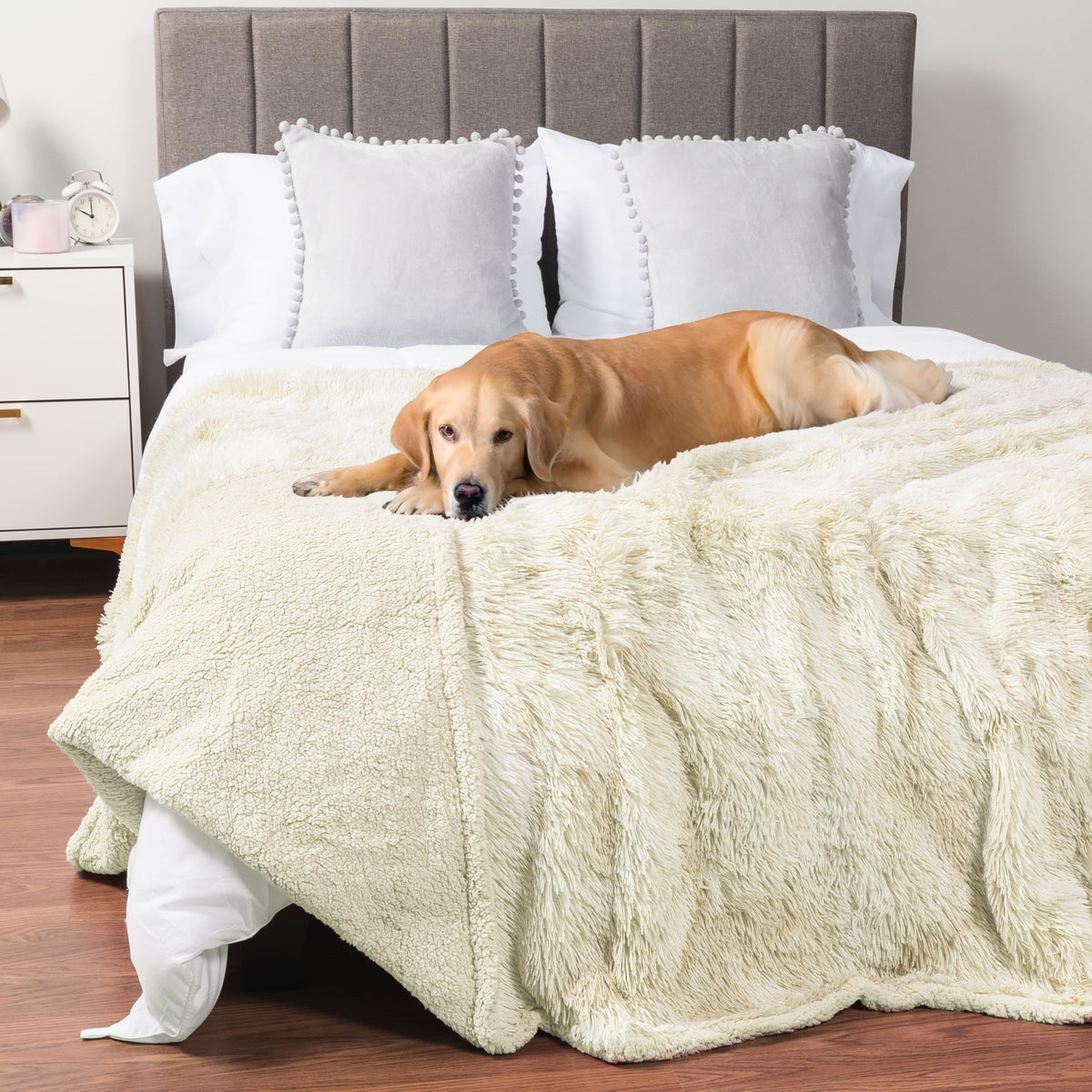 PetAmi Waterproof Dog Blanket for Couch Protector Pet Throw, 40x60 Taupe
