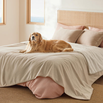 Bedsure Waterproof Dog Blankets for Large Dogs Sherpa Fleece Throw, 40X50
