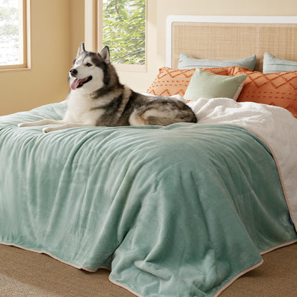 Bedsure Waterproof Dog Blankets for Large Dogs Sherpa Fleece Throw, 40X50