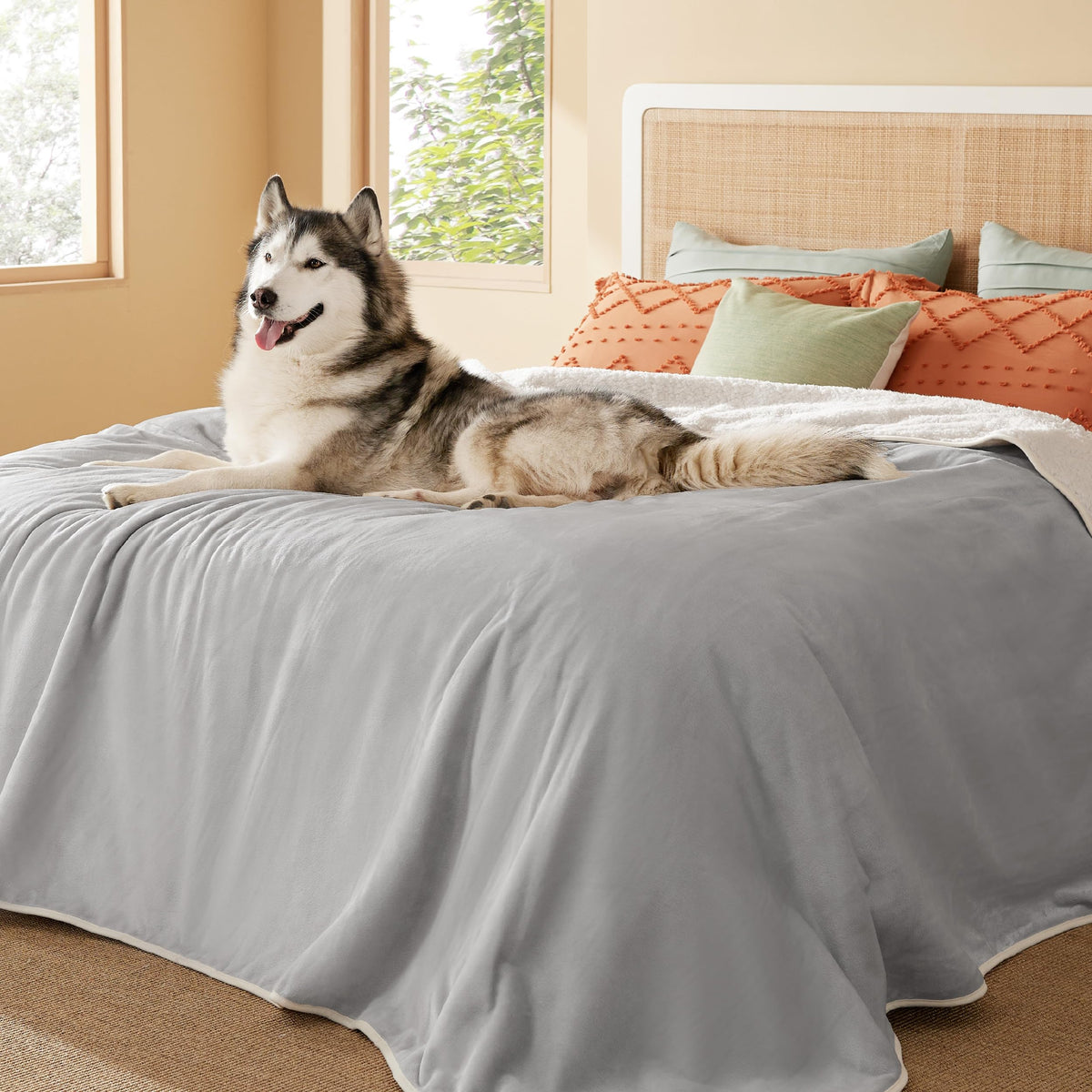Bedsure Waterproof Dog Blankets for Small Dogs Soft Cat Blanket Warm,25X35