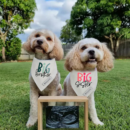 Realeaf Big Brother Big Sister Dog Bandanas Pet Scarf for Medium and Large Dogs New Baby Announcement Pet Accessories Pregnancy Reveal Ideas (X-Large)