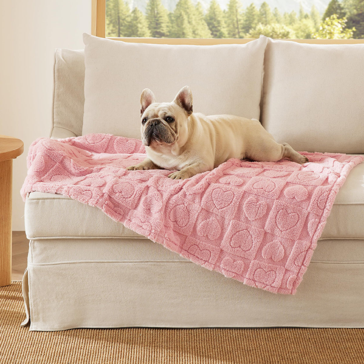Bedsure Ultra Soft Dog Blankets for Large Dogs 300GSM Fleece, 40x50 Blue