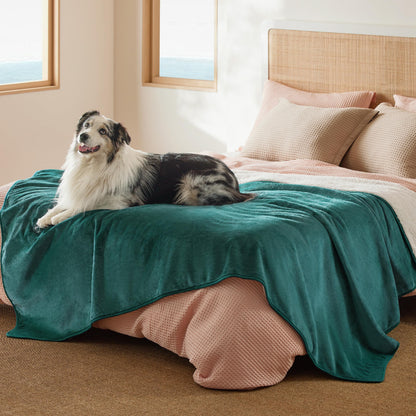 Bedsure Waterproof Dog Blankets for Small Dogs Soft Cat Blanket Warm,25X35