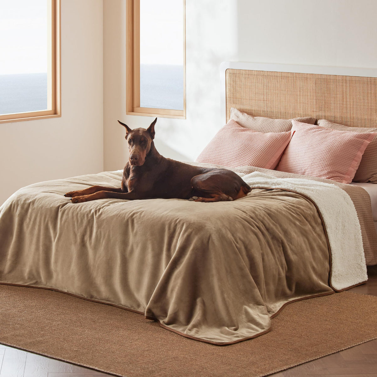 Bedsure Waterproof Dog Blankets for Small Dogs Soft Cat Blanket Warm,25X35