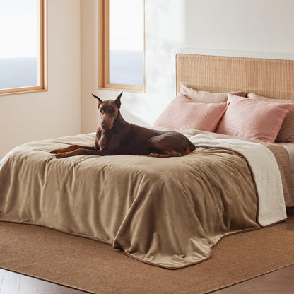 Bedsure Waterproof Dog Blankets for Small Dogs Soft Cat Blanket Warm,25X35