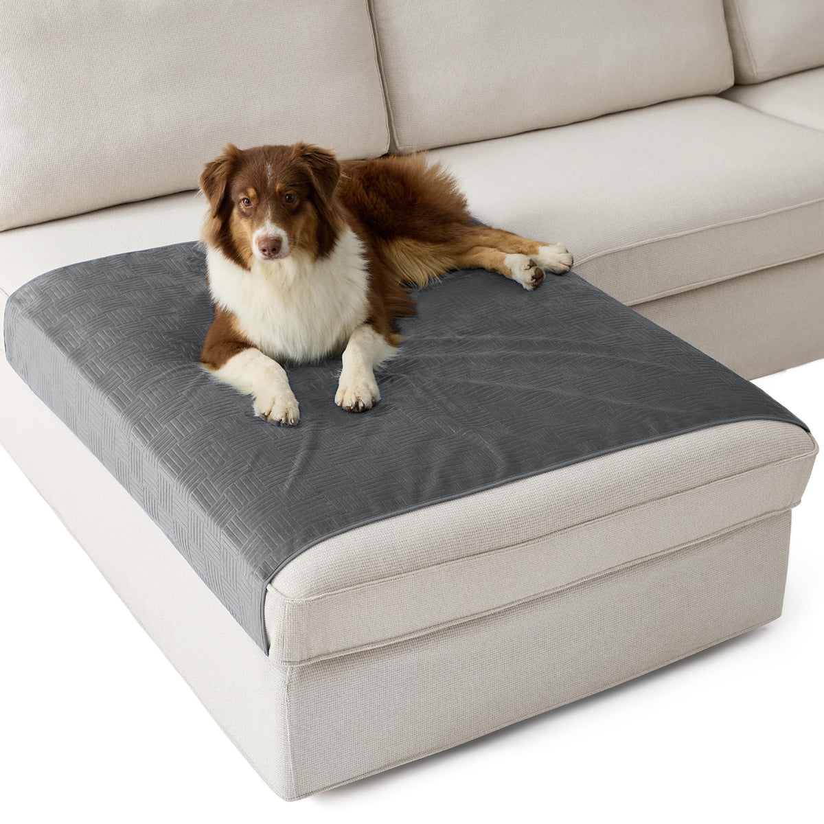 Bedsure Waterproof Couch Cover for Sofa and Dogs Quick Drying, 52x82IN