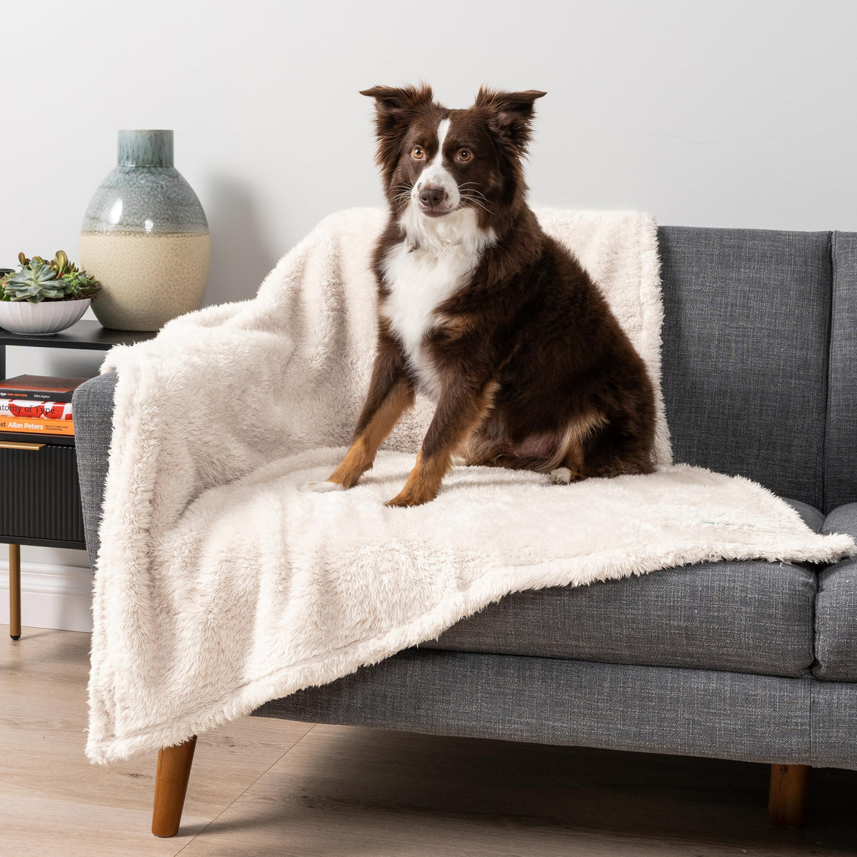 PetAmi Soft Plush Sherpa Dog Blanket for Pet Cat, Medium 29x40, Dusty Blue
